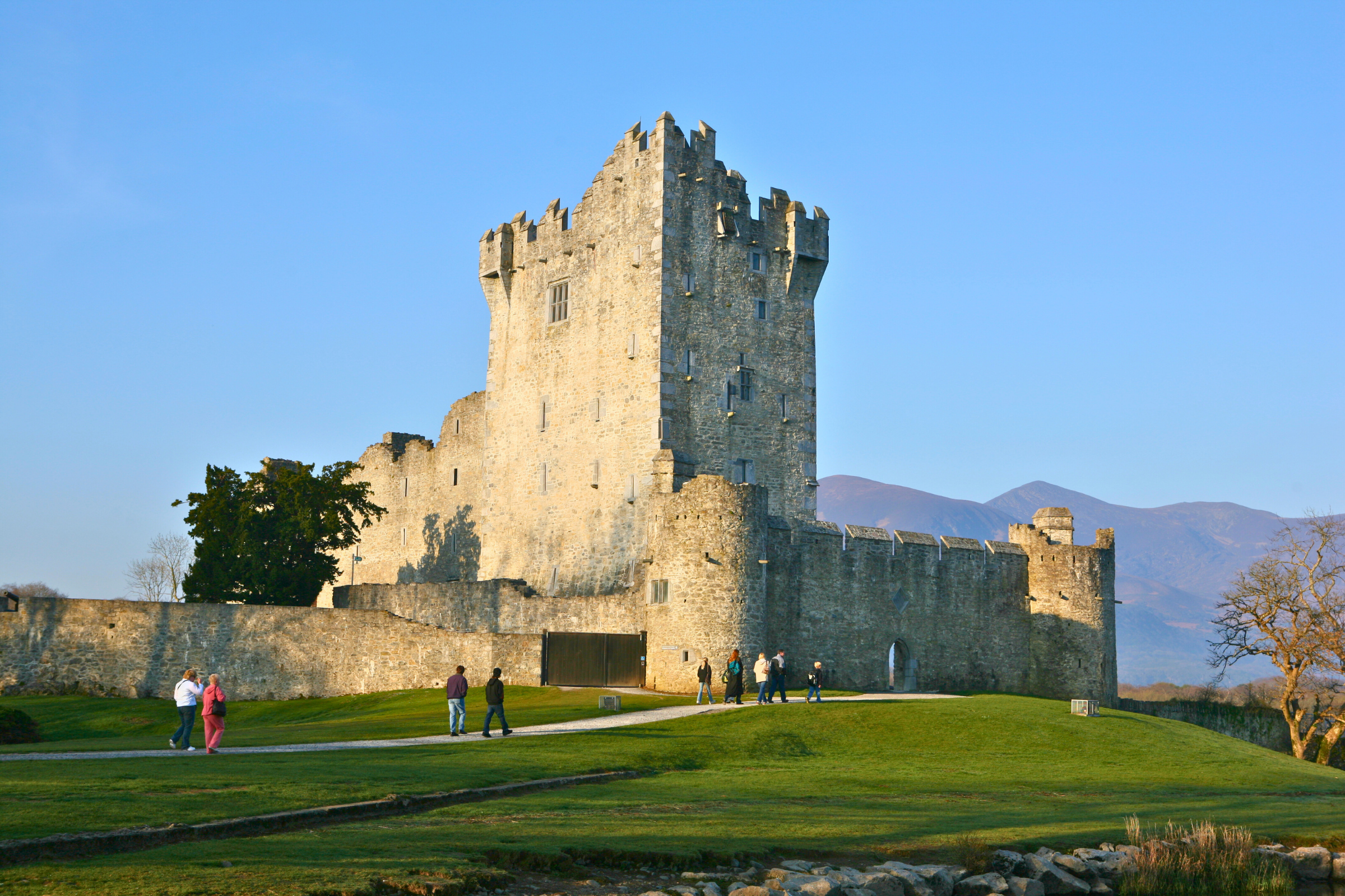 killarney (4).webp
